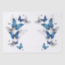 Search for butterfly tissue paper Blue