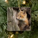 Search for baby fox ornaments Cute animals