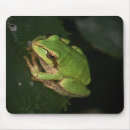 Search for tree frog mousepads Green