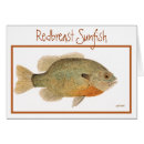 Search for sunfish Nature