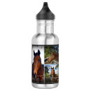 Search for horse water bottles Photography