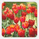 Recherche de fleurs tulipe autocollants Pour eux
