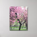 Search for cherry blossom tree canvas prints Pink
