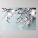Recherche de cerise vintage posters Nature