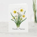 Search for narcissus cards Flowers