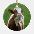 Search for dairy ornaments Agriculture
