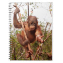 Recherche de singe mignon carnets Bébé