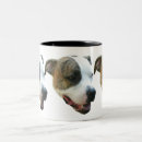 Recherche de perro tasses Chien