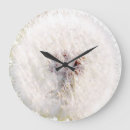 Search for dandelion clocks Flower
