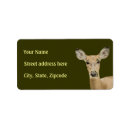 Search for wildlife return address labels Deer
