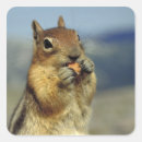 Search for feed the animals stickers Wildlife