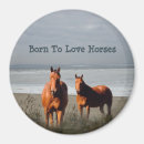 Search for breeder magnets Horse
