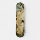Recherche de tiges skateboards Plante