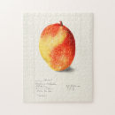 Search for mango puzzles Fruit