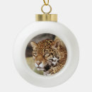 Search for jaguar ornaments Animal