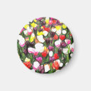 Recherche de tulpe Rosa
