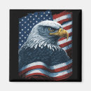 Search for mullet magnets Bald eagle