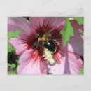 Search for bee design postcards Bees