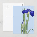 Recherche de ohara cartes postales Fleur