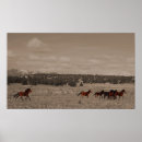 Recherche de chevaux sauvages posters Désert