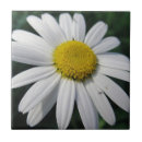 Recherche de marguerite carreaux Fleurie