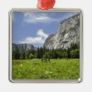 Search for scenic ornaments Flowers