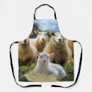 Recherche de agneau tabliers Mouton