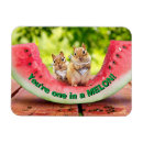 Recherche de jeu de mots magnets Animal