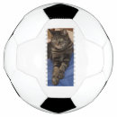 Search for cat animal soccer balls Cats