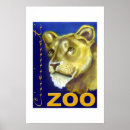 Recherche de zoo posters Lion