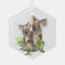 Search for cute koala bears ornaments Australian
