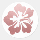 Search for hawaiian hibiscus stickers Luau