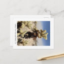 Search for national park postcards Wilderness