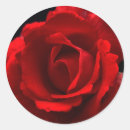 Search for crimson red stickers Black