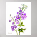 Search for fine art posters Botanical