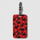 Search for pet travel accessories Dog
