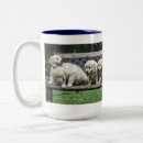 Search for bench mugs Canine