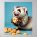 Recherche de furet posters Mignon