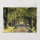 Search for lexington kentucky postcards Nature