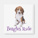 Recherche de chien beagle magnets Amour