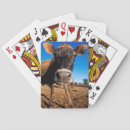 Search for danita delimont playing cards Copy space