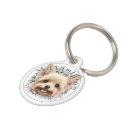 Recherche de yorkie animaux articles Pour animaux