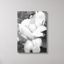 Search for cactus rose posters Floral
