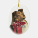Search for sheltie ornaments Pets