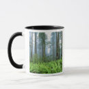 Search for redwoods mugs Fern