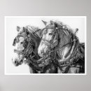 Recherche de cheval trait posters Cheval de travail