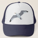 Search for seagull hats Bird