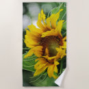 Search for sunflower beach towels Nature