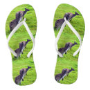 Search for grass sandals Wildlife