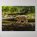 Search for british columbia posters Gordon illg